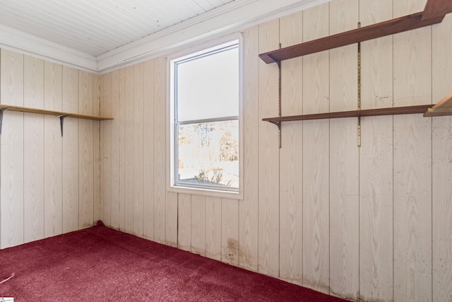 interior space featuring wood walls and crown molding