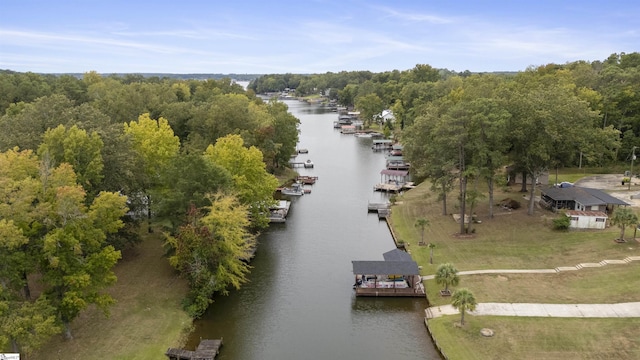 drone / aerial view with a water view