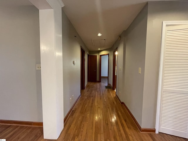 corridor with wood-type flooring