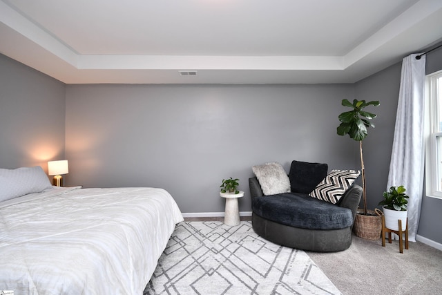 carpeted bedroom with a raised ceiling