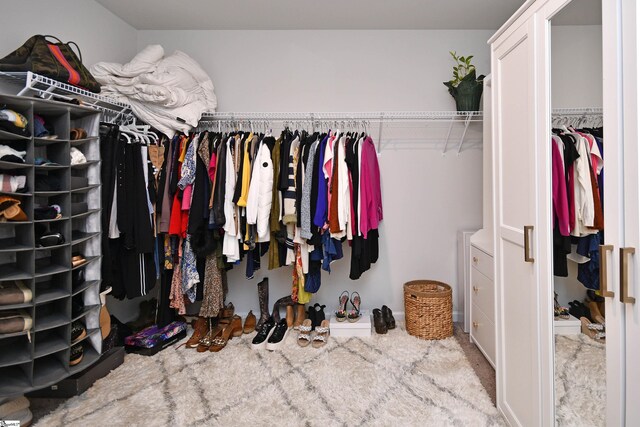 walk in closet with carpet