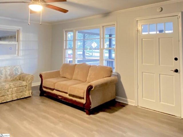 living room with ceiling fan, crown molding, and light hardwood / wood-style flooring