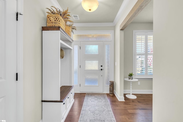 foyer entrance with plenty of natural light and dark hardwood / wood-style flooring