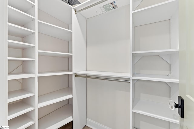 view of spacious closet