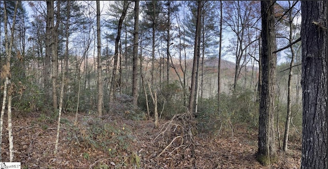 0000 Gap Creek Rd Lot 2, Marietta SC, 29661 land for sale