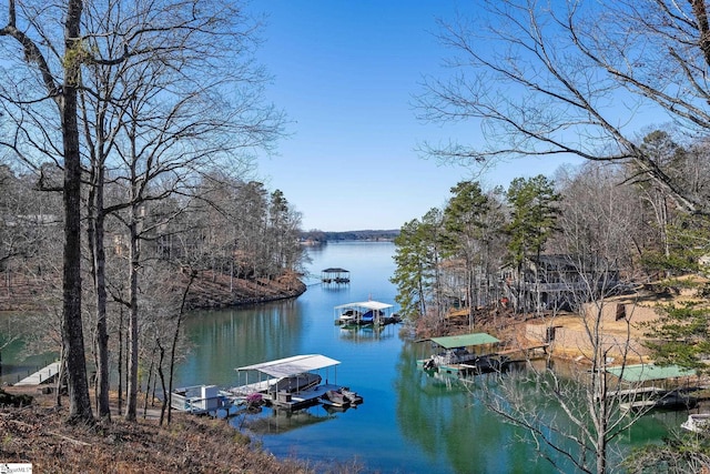 water view featuring a dock