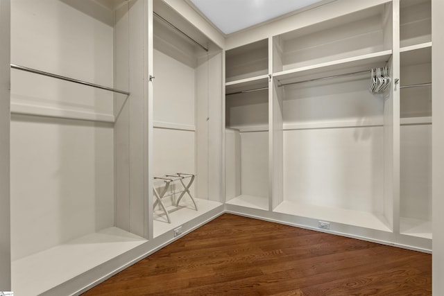 spacious closet with dark hardwood / wood-style floors