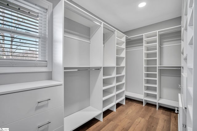 spacious closet featuring hardwood / wood-style floors