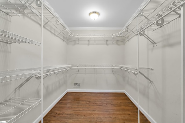 walk in closet featuring wood-type flooring