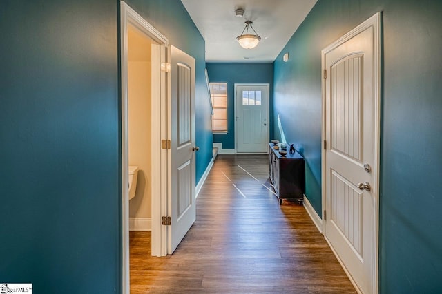 entryway with dark wood-type flooring