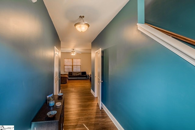 corridor featuring dark wood-type flooring