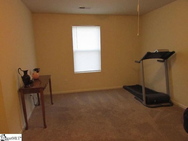 exercise room featuring carpet floors