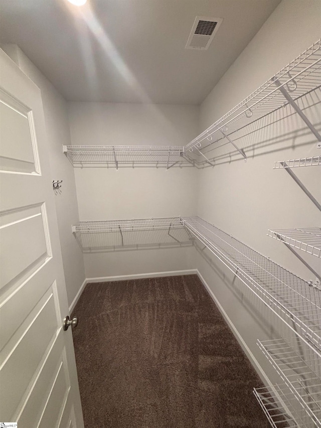 spacious closet featuring carpet floors