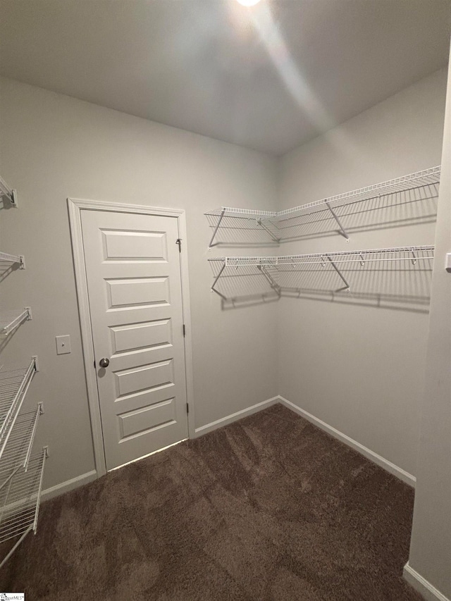 spacious closet with dark colored carpet