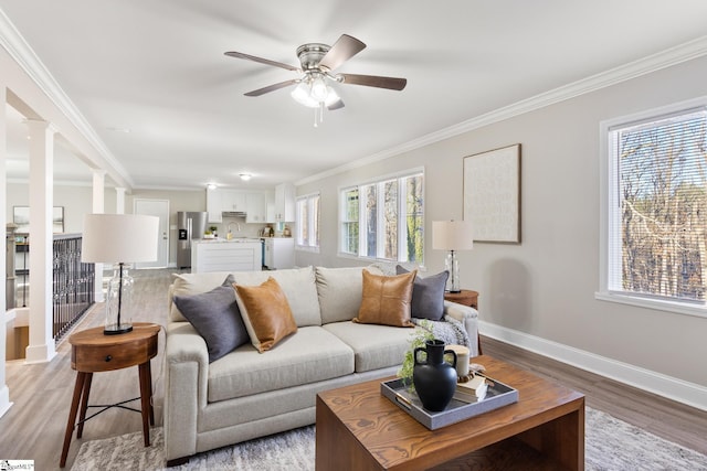 living room featuring light hardwood / wood-style floors, plenty of natural light, crown molding, and ceiling fan