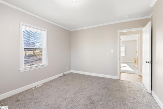 carpeted spare room featuring crown molding