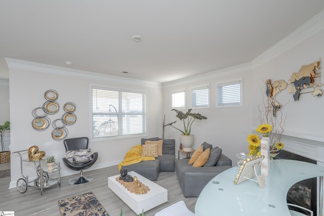 living room featuring light hardwood / wood-style floors and crown molding