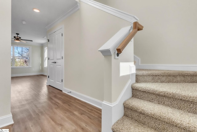 stairs with wood-type flooring, ceiling fan, and ornamental molding