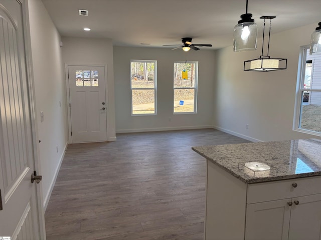 interior space featuring wood-type flooring and ceiling fan