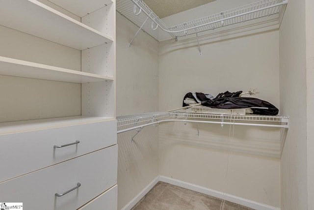 walk in closet with light colored carpet