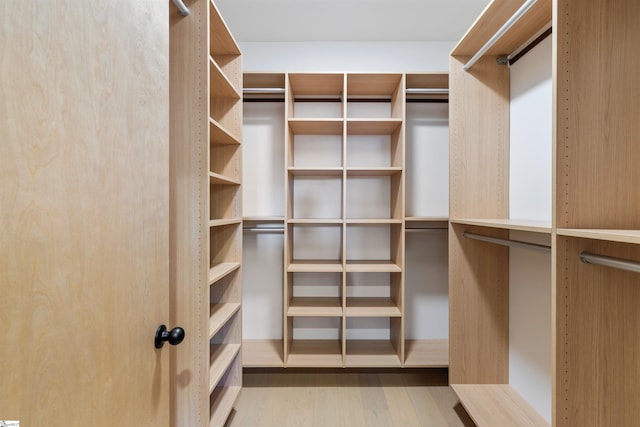 walk in closet with light wood-type flooring