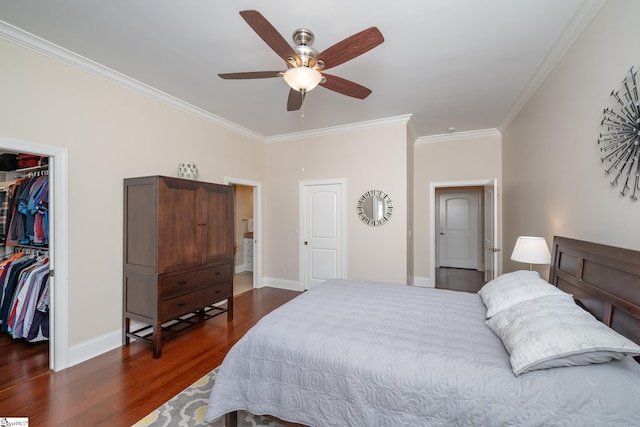 bedroom featuring ceiling fan, dark wood-type flooring, a walk in closet, a closet, and ornamental molding