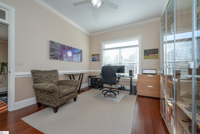 office featuring dark hardwood / wood-style flooring, ceiling fan, and ornamental molding