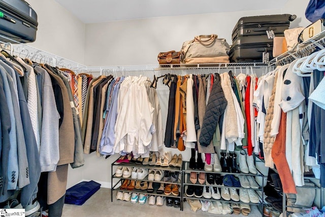 walk in closet with carpet flooring