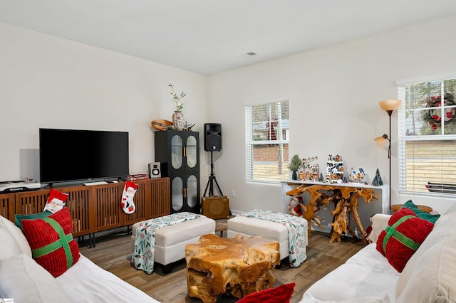 living room featuring wood-type flooring