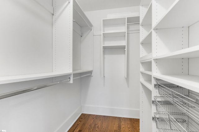 spacious closet featuring dark hardwood / wood-style flooring