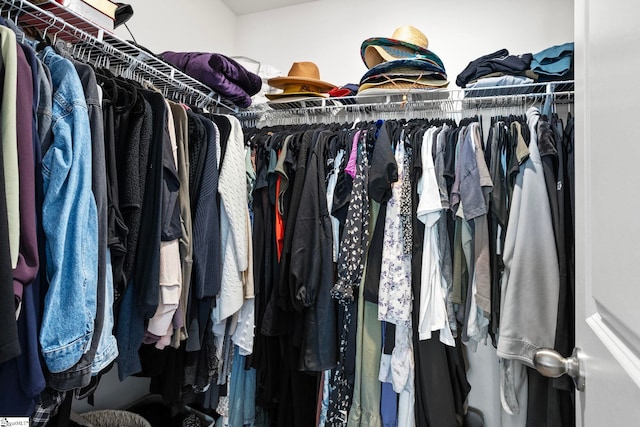 view of spacious closet