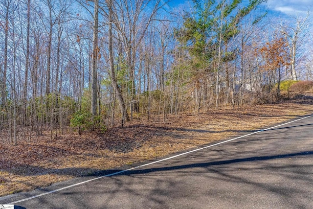 100 Park Green Way, Landrum SC, 29356 land for sale