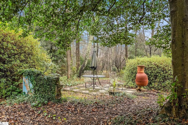 view of yard featuring a patio area