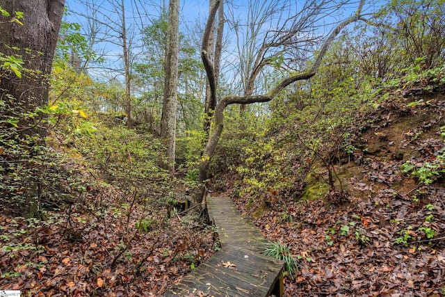 view of local wilderness