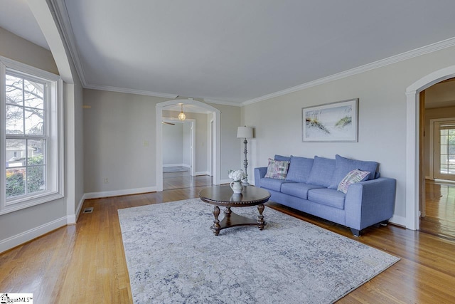 living room featuring a healthy amount of sunlight, wood-type flooring, and ornamental molding