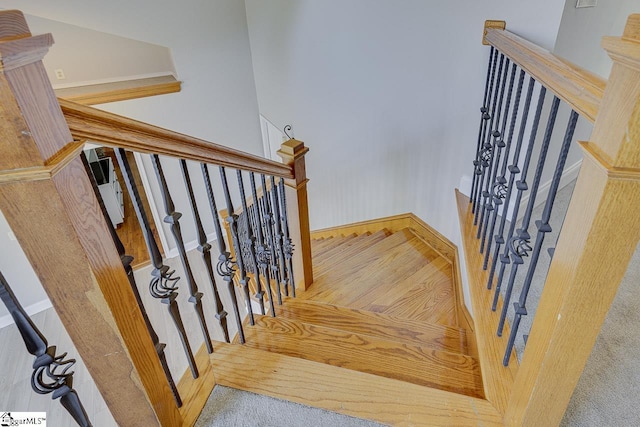 staircase featuring carpet flooring