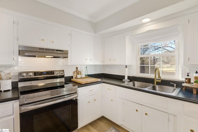 kitchen featuring white cabinets, ventilation hood, stainless steel electric stove, and sink