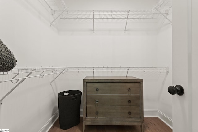 spacious closet with dark wood-type flooring