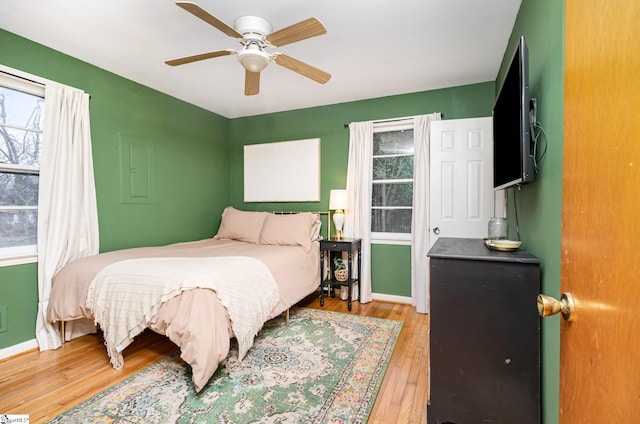 bedroom with multiple windows, light hardwood / wood-style flooring, and ceiling fan