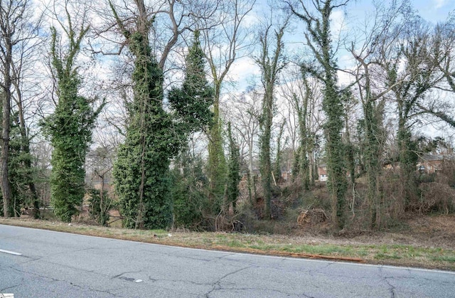 Listing photo 2 for 00 S Church Street Ext Lot 14, Spartanburg SC 29306