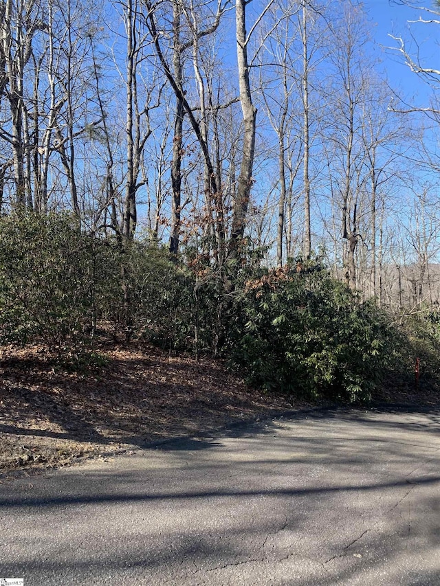 Listing photo 2 for 000 Cliff Ridge Dr Lot 235, Cleveland SC 29635