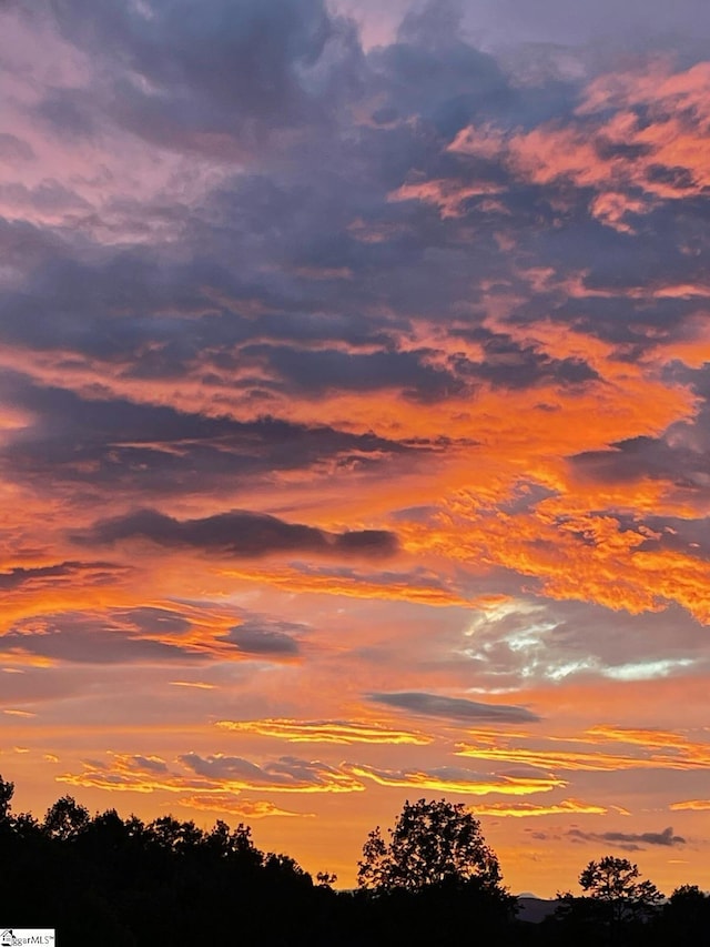 view of nature at dusk