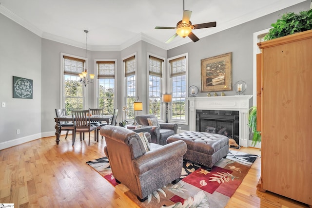 living room featuring ceiling fan with notable chandelier, light wood-type flooring, and crown molding