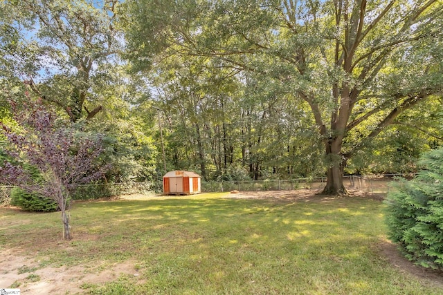 view of yard with a shed