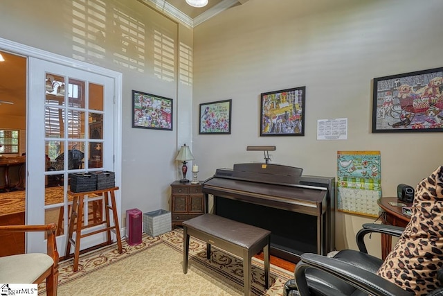 miscellaneous room with a towering ceiling, a wealth of natural light, and crown molding