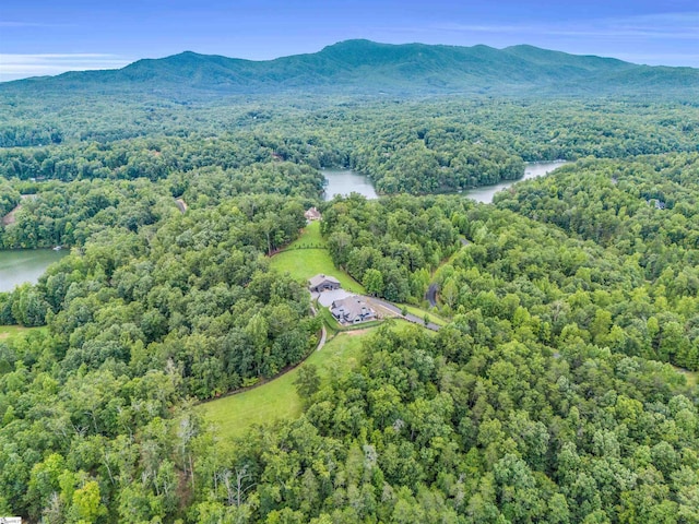 drone / aerial view with a water and mountain view