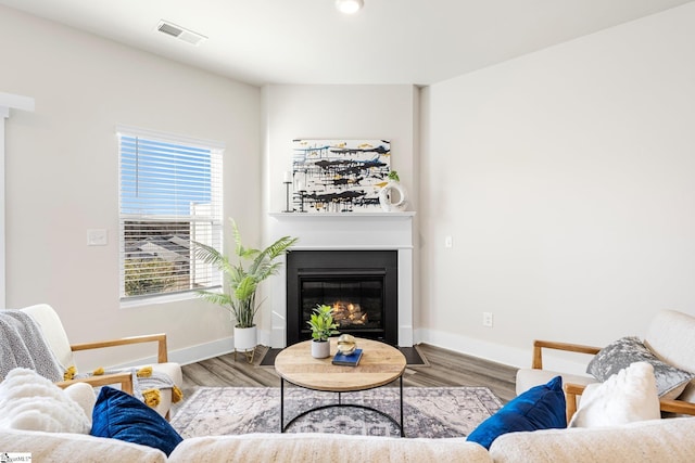 living room with hardwood / wood-style floors