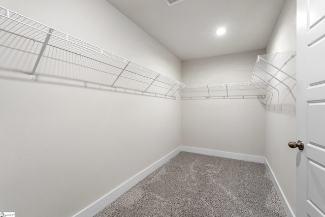 walk in closet featuring carpet floors