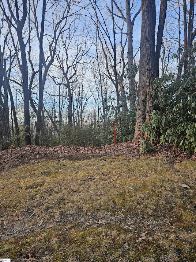 609 Cliff Ridge Dr, Cleveland SC, 29635 land for sale