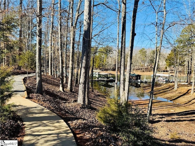 view of yard featuring a dock and a water view